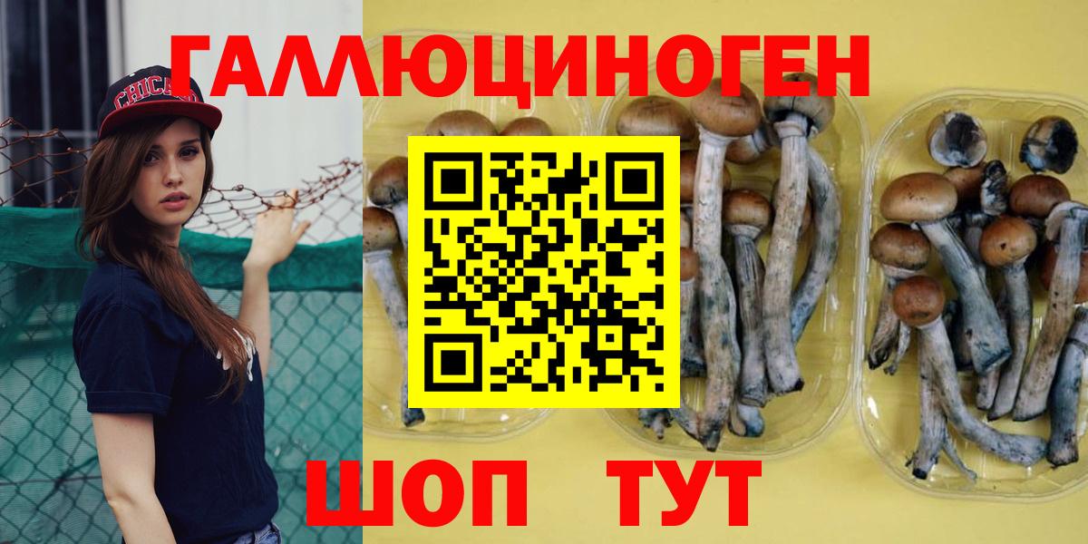 Галлюциногенные грибы мухоморы  Вход с VPN  Барабинск 