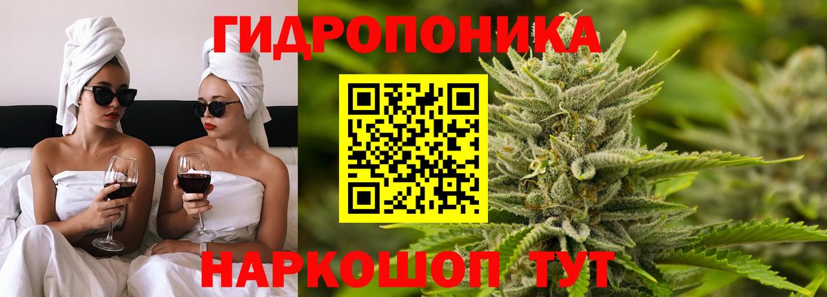 Бошки Шишки гибрид Барабинск